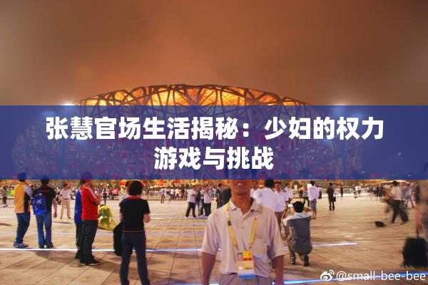 张慧官场生活揭秘：少妇的权力游戏与挑战