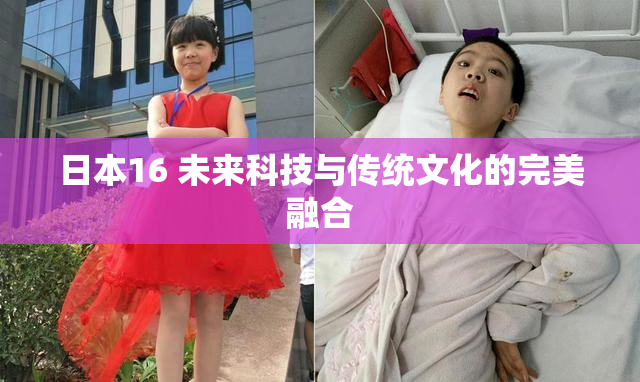 日本16 未来科技与传统文化的完美融合