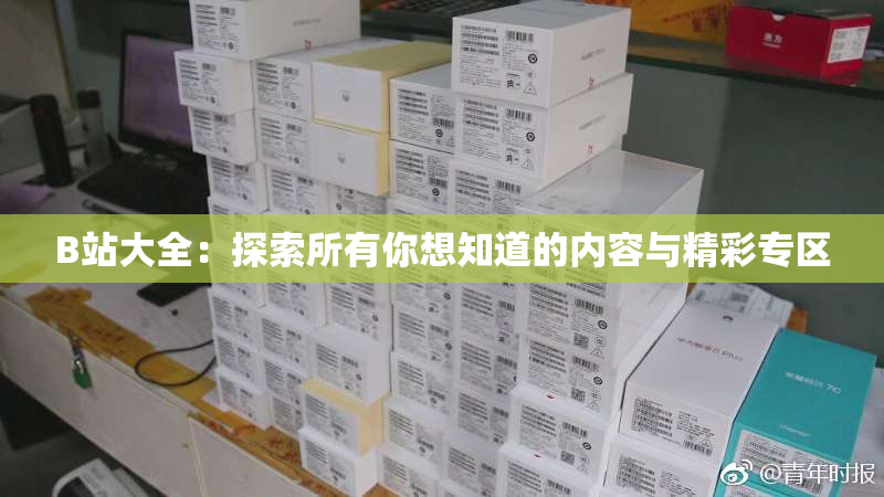 B站大全：探索所有你想知道的内容与精彩专区