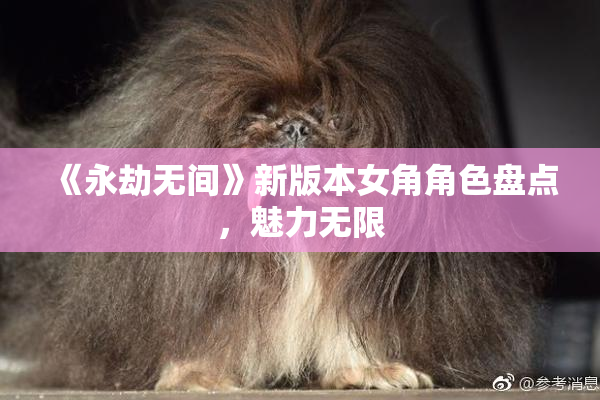《永劫无间》新版本女角角色盘点，魅力无限