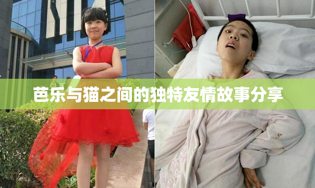 芭乐与猫之间的独特友情故事分享