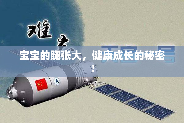 宝宝的腿张大，健康成长的秘密！