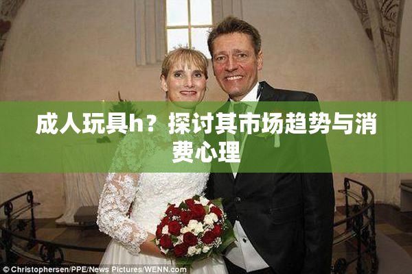 成人玩具h？探讨其市场趋势与消费心理