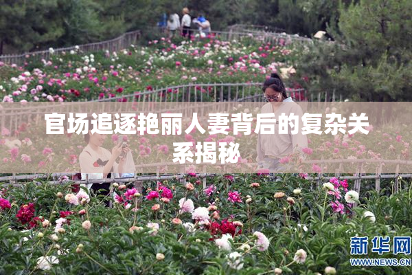官场追逐艳丽人妻背后的复杂关系揭秘