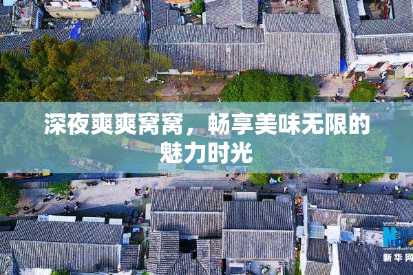深夜爽爽窝窝，畅享美味无限的魅力时光