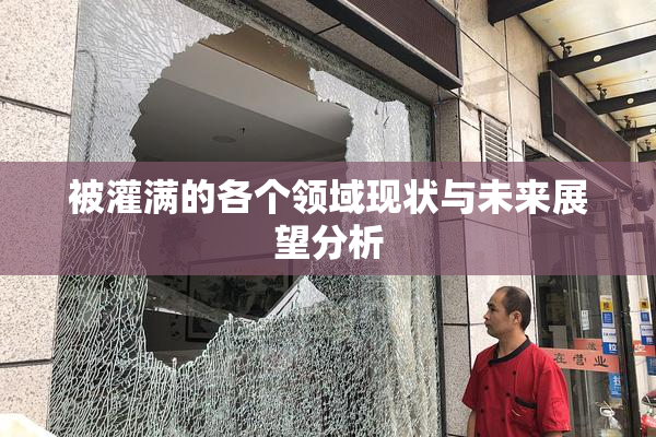 被灌满的各个领域现状与未来展望分析