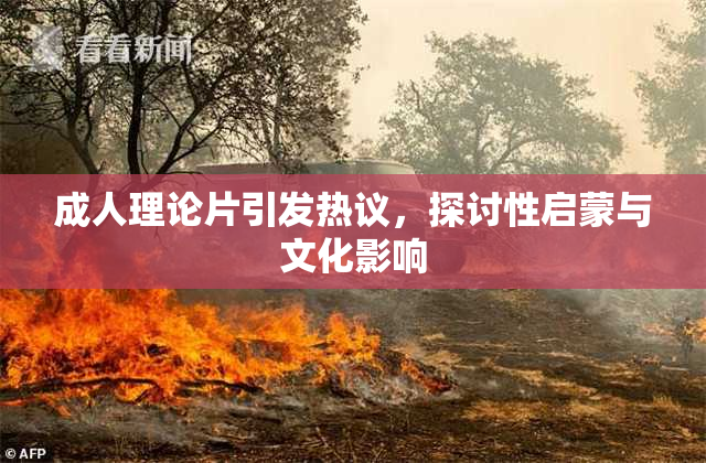 成人理论片引发热议，探讨性启蒙与文化影响
