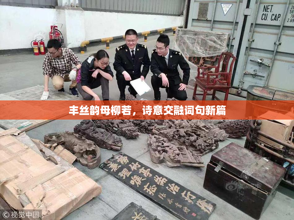 丰丝韵母柳若，诗意交融词句新篇