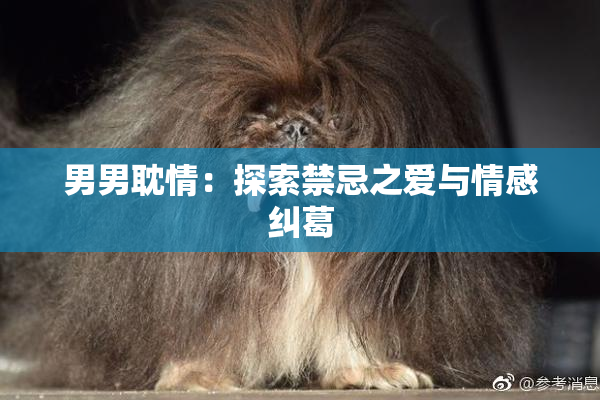 男男耽情：探索禁忌之爱与情感纠葛