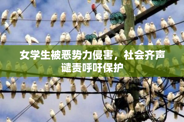 女学生被恶势力侵害，社会齐声谴责呼吁保护