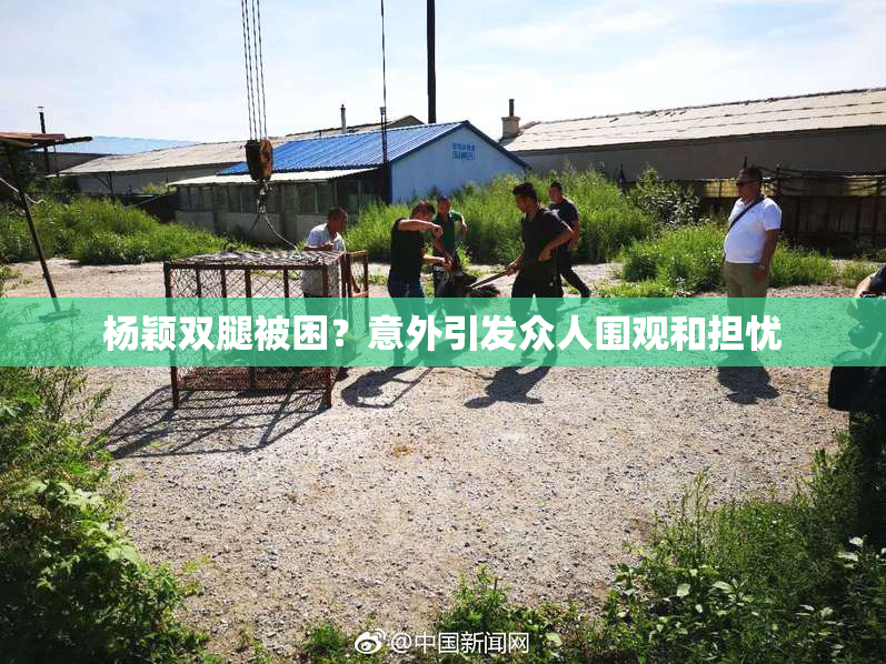 杨颖双腿被困？意外引发众人围观和担忧
