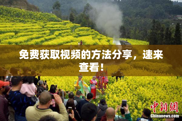 免费获取视频的方法分享，速来查看！