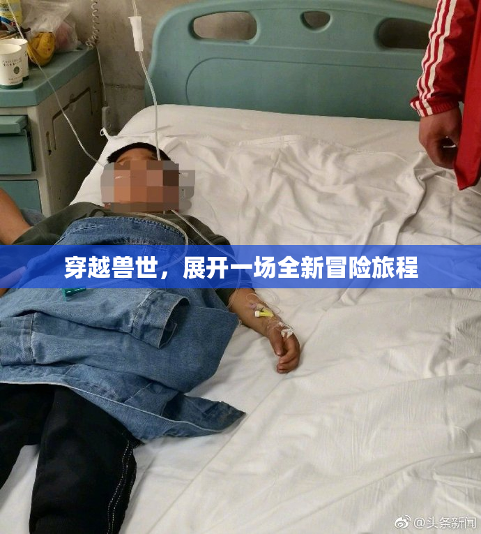 穿越兽世，展开一场全新冒险旅程