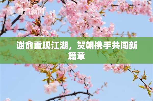 谢俞重现江湖，贺朝携手共闯新篇章