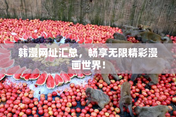 韩漫网址汇总，畅享无限精彩漫画世界！