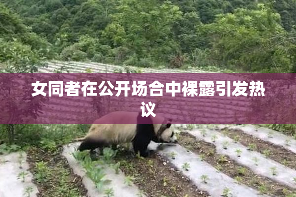 女同者在公开场合中裸露引发热议