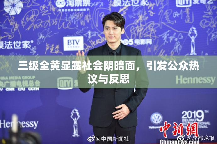 三级全黄显露社会阴暗面，引发公众热议与反思