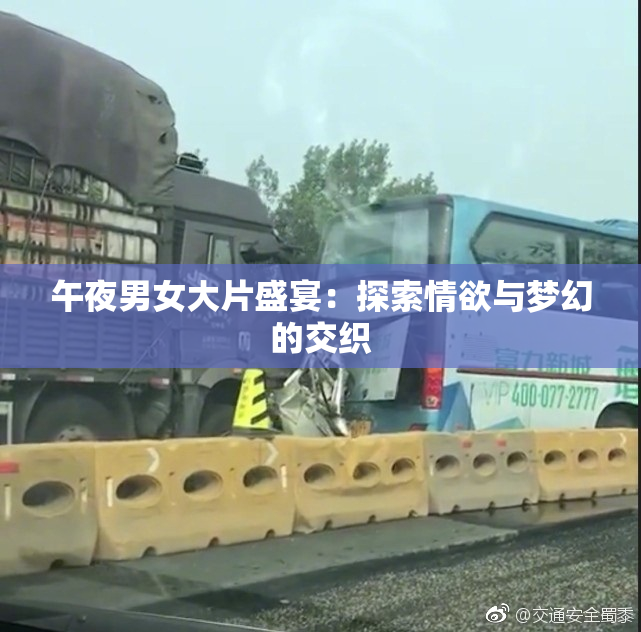 午夜男女大片盛宴：探索情欲与梦幻的交织