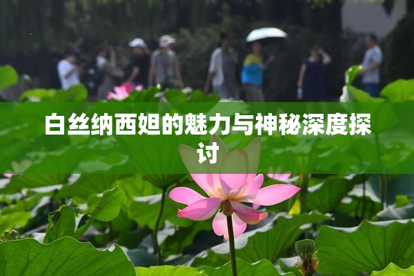 白丝纳西妲的魅力与神秘深度探讨