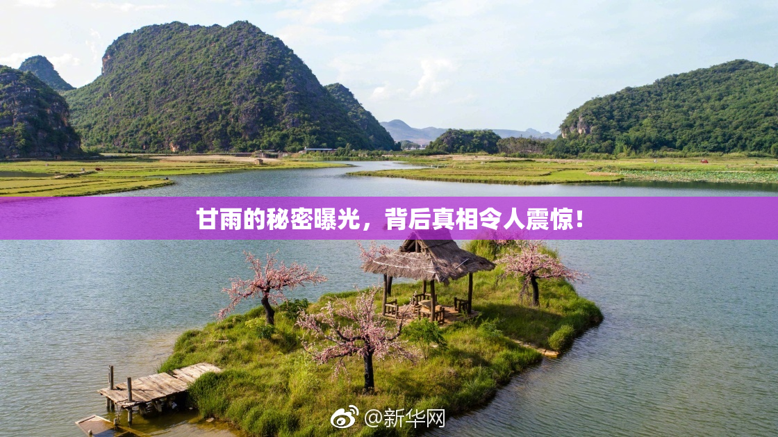 甘雨的秘密曝光，背后真相令人震惊！