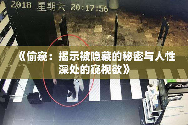 《偷窥：揭示被隐藏的秘密与人性深处的窥视欲》