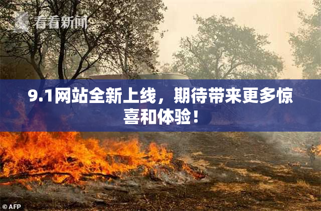 9.1网站全新上线，期待带来更多惊喜和体验！