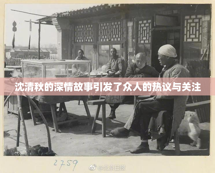 沈清秋的深情故事引发了众人的热议与关注
