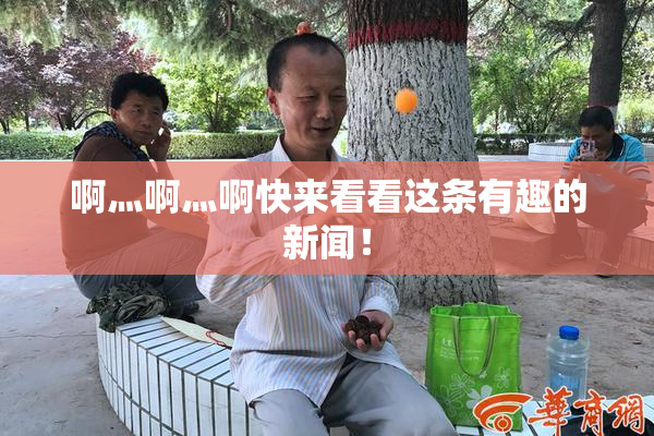 啊灬啊灬啊快来看看这条有趣的新闻！