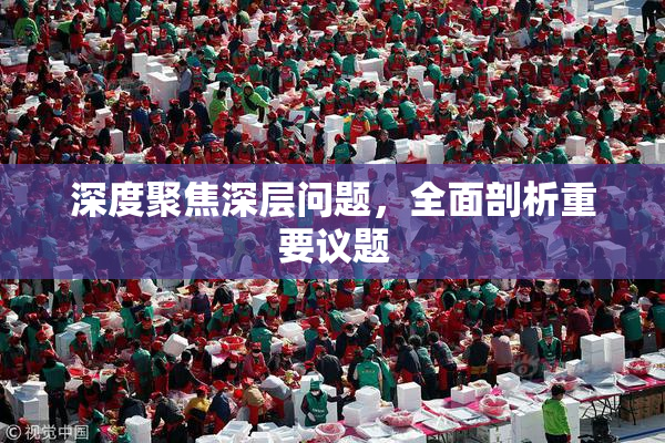 深度聚焦深层问题，全面剖析重要议题