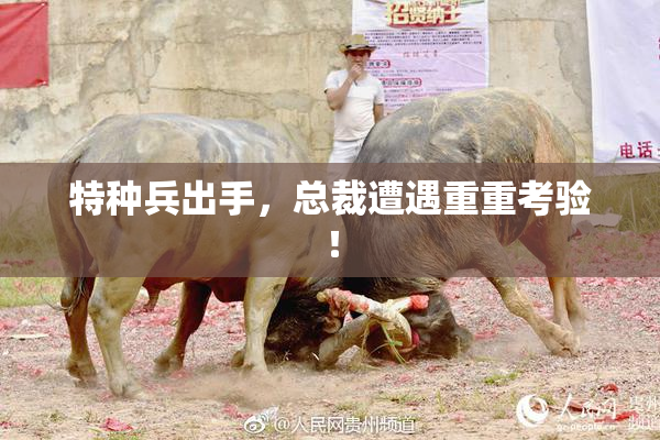 特种兵出手，总裁遭遇重重考验！