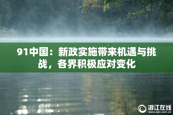91中国：新政实施带来机遇与挑战，各界积极应对变化