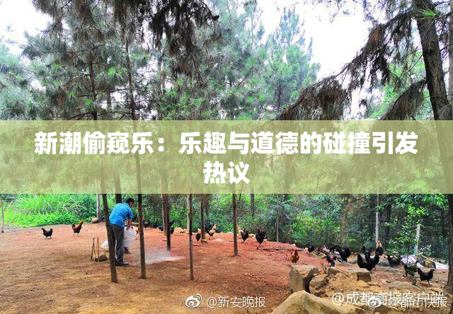 新潮偷窥乐：乐趣与道德的碰撞引发热议