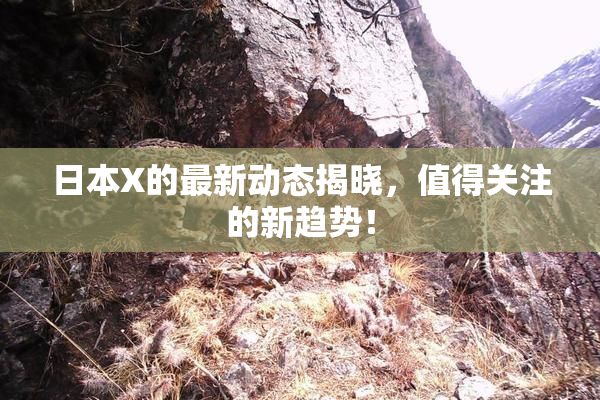 日本X的最新动态揭晓，值得关注的新趋势！