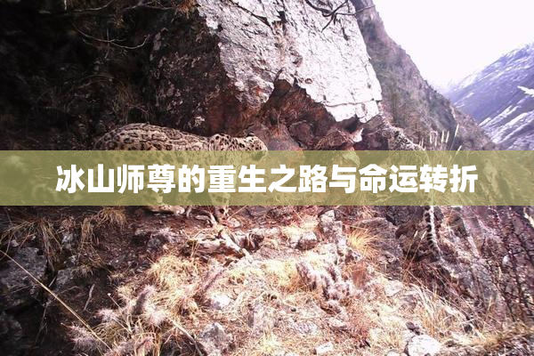 冰山师尊的重生之路与命运转折
