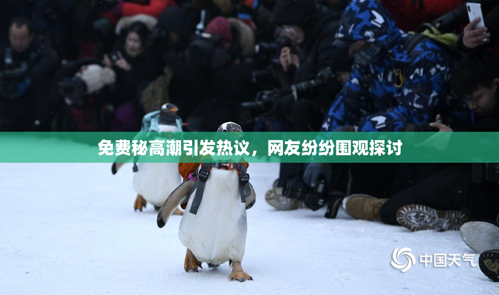 免费秘高潮引发热议，网友纷纷围观探讨