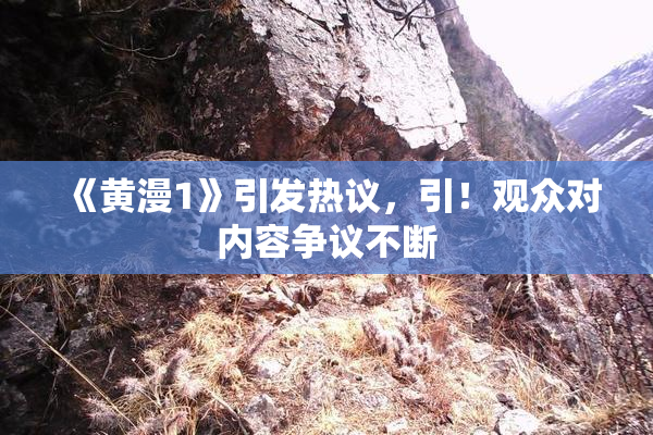 《黄漫1》引发热议，引！观众对内容争议不断