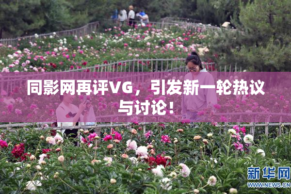 同影网再评VG，引发新一轮热议与讨论！