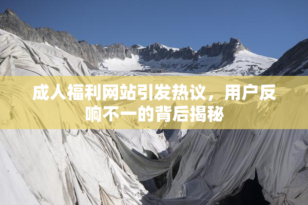 成人福利网站引发热议，用户反响不一的背后揭秘