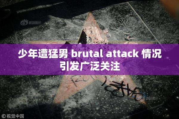 少年遭猛男 brutal attack 情况引发广泛关注