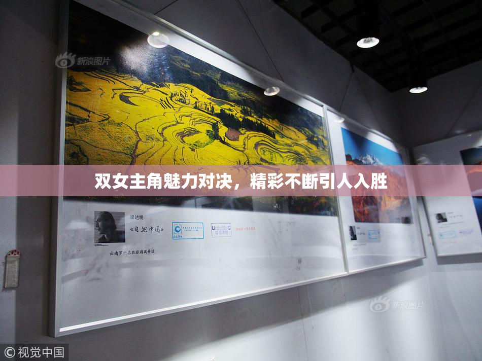 双女主角魅力对决，精彩不断引人入胜