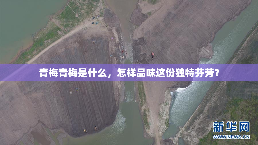 青梅青梅是什么，怎样品味这份独特芬芳？