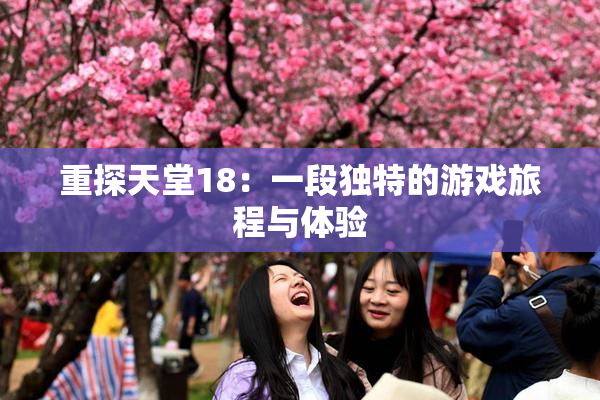 重探天堂18：一段独特的游戏旅程与体验