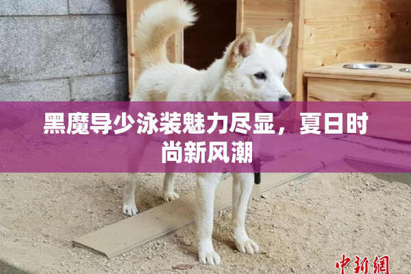 黑魔导少泳装魅力尽显，夏日时尚新风潮