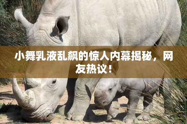 小舞乳液乱飙的惊人内幕揭秘，网友热议！