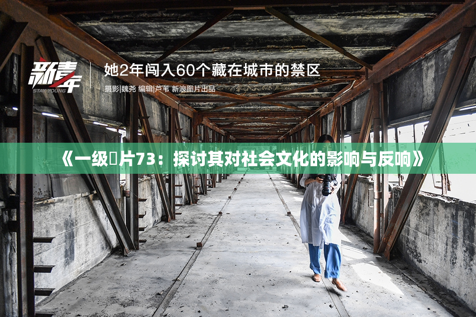 《一级婬片73：探讨其对社会文化的影响与反响》