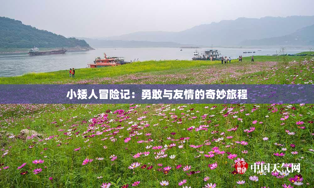 小矮人冒险记：勇敢与友情的奇妙旅程