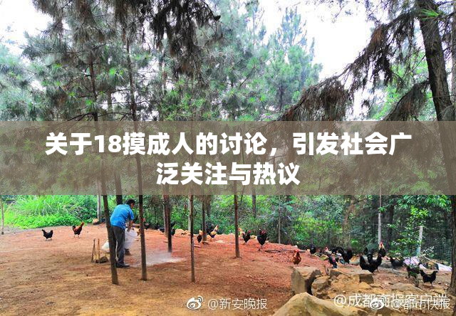 关于18摸成人的讨论，引发社会广泛关注与热议