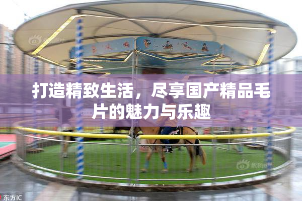 打造精致生活，尽享国产精品毛片的魅力与乐趣