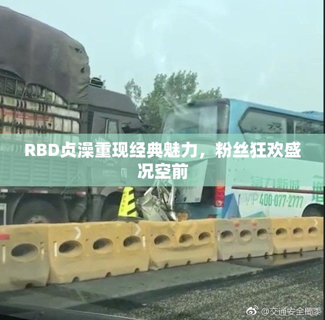 RBD贞澡重现经典魅力，粉丝狂欢盛况空前