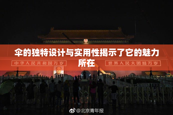 伞的独特设计与实用性揭示了它的魅力所在